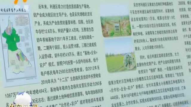 利通区:1.9亿元建设扶贫产业肉牛养殖示范园