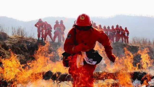 四川凉山森林火灾中,吞噬30条生命的“林火爆燃”究竟是什么?