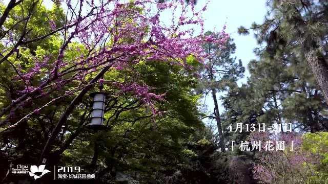 18.杭州花圃花境