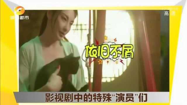 影视中最特殊的角色,比一号演员还牛,替身都找不到!