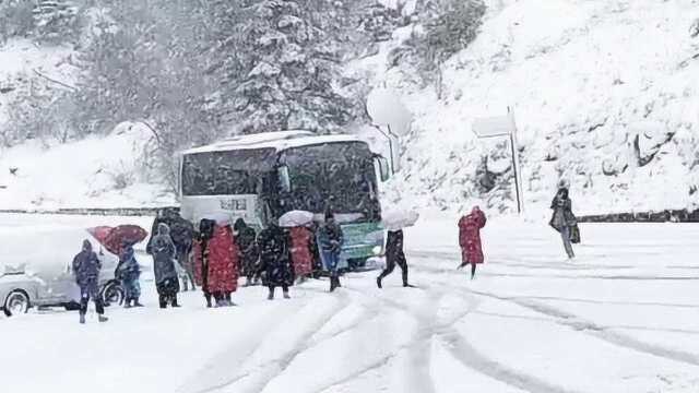 立夏秒变寒冬!神龙架突降大雪:开好的花都被染白