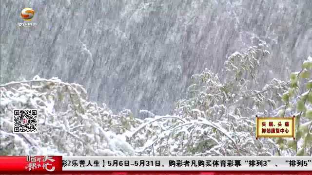 甘肃天祝县5月突降大雪,银装素裹!乌鞘岭道路湿滑