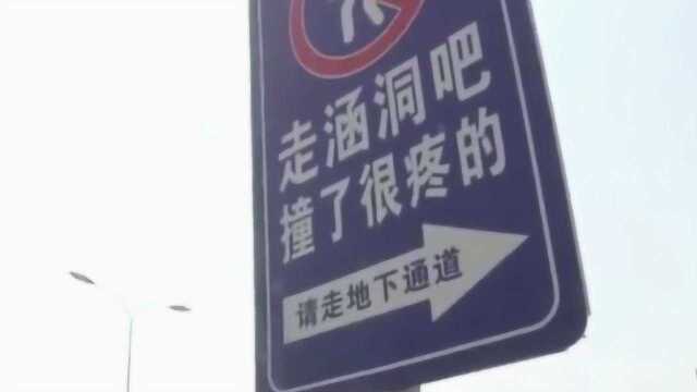 福建厦门硬核警示牌走红网络,“你丑你穿行”回应:有成效