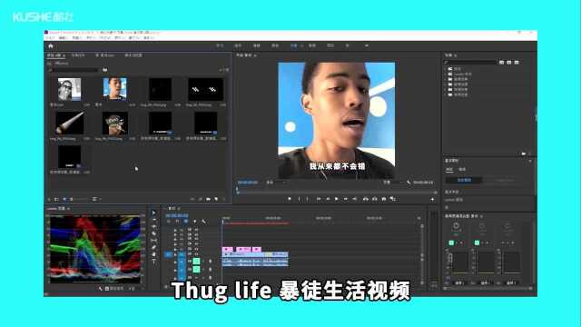 嘿呦,今天教大家使用Pr软件制作Thug Life视频效果,只需在位置和旋转打关键帧就能制作噢!