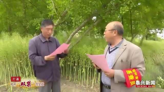 黄桥镇:早发动早落实 严把秸秆“双禁”关