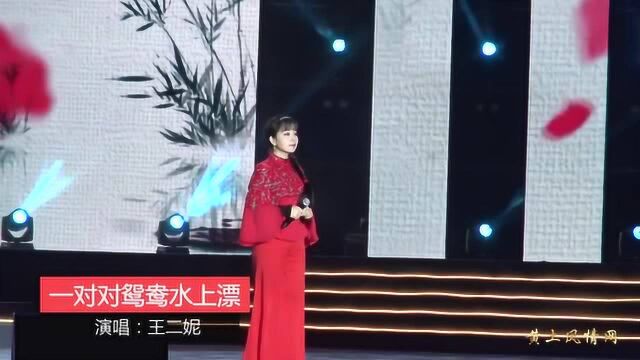 黄土情歌《一对对鸳鸯水上漂》演唱:王二妮