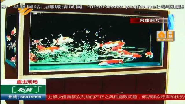 德邦物流寄个大鱼缸 物品破损赔付有争议