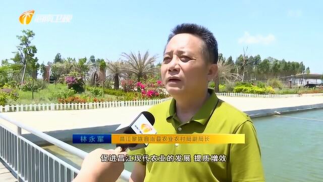 昌江:引入先进技术人才 加快农业跨省合作