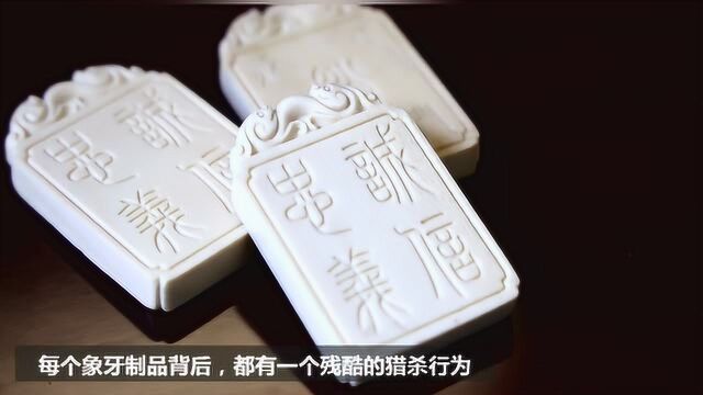 徐州铁路运输法院宣判一起十四人买卖象牙制品案