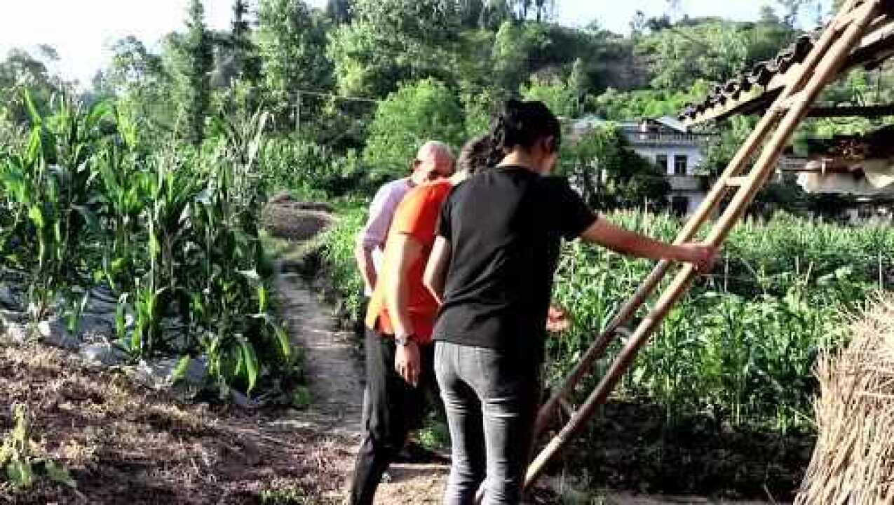 农村的老瓦房漏雨了,看幺妹儿怎样上房揭瓦!