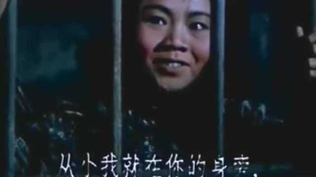 经典歌剧《洪湖赤卫队》选曲,《月儿高高挂天上》这声音太好听了