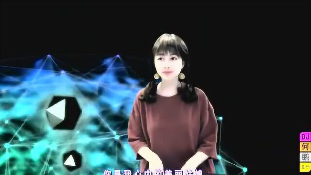 郑世杰这辈子和你牵手到老DJ何鹏版