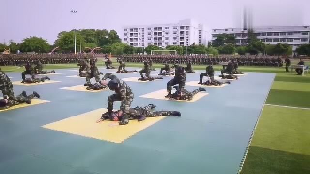 武警战士门在摔擒场上实战演练,练就铮铮铁骨的热血男儿