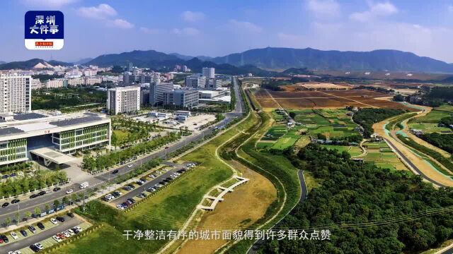 深圳新湖街道正在“蝶变”,坐拥青山绿水,打造世界一流科学城