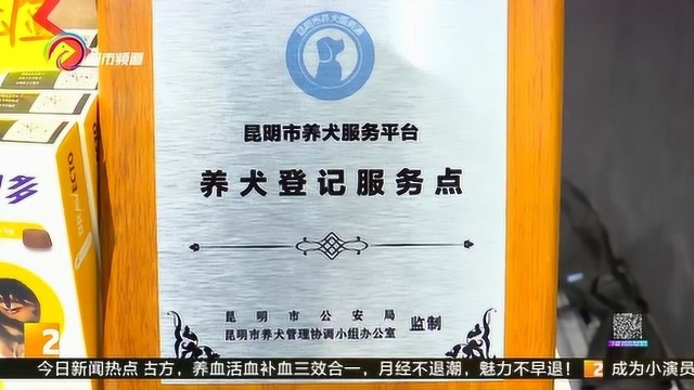 昆明开办犬只“电子身份证 ” 办证流程看这里