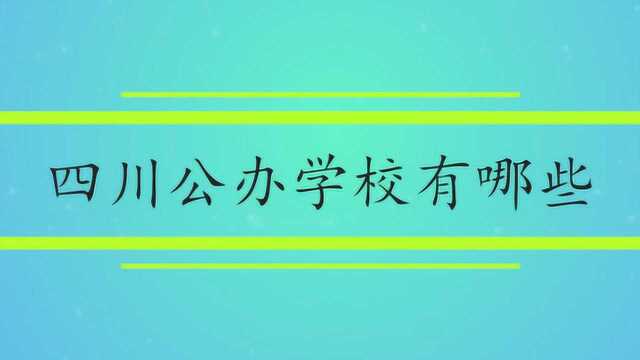 四川公办学校有哪些