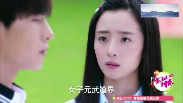 旋风少女:鼎鼎大名的元武道少女宗师李恩秀的传奇经历