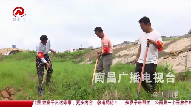 今日新建:防汛进行时:除险加固 提升圩堤抗洪能力