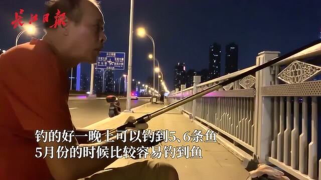 沙湖大桥成夜钓打卡地,过往市民心惊