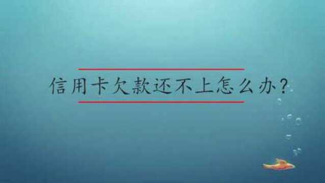 信用卡欠款还不上怎么办