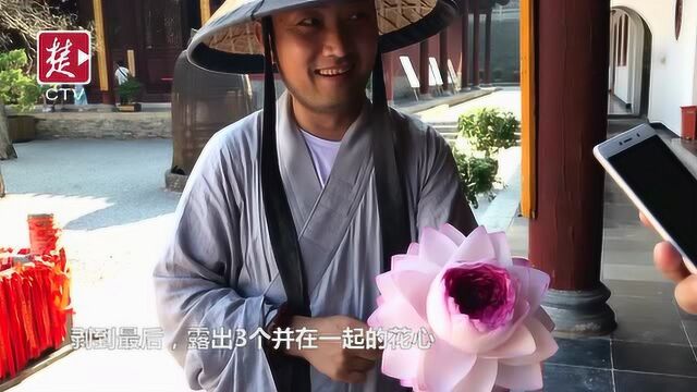 当阳玉泉寺盛夏绽放千瓣并蒂莲