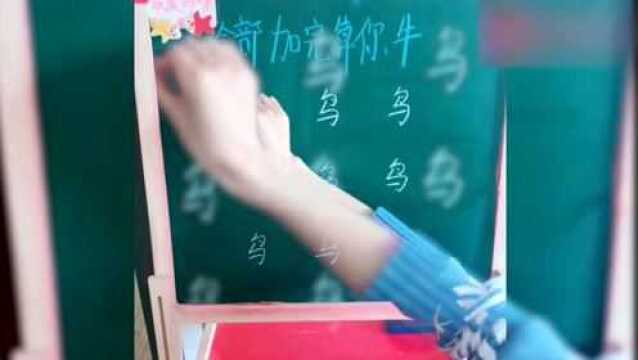 鸟字加偏旁再组词有哪些