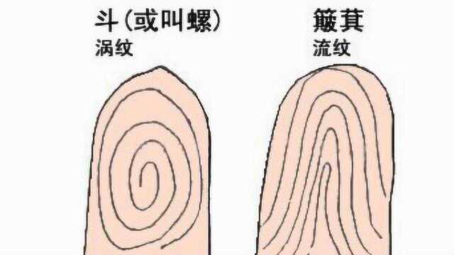 你手上有几个“簸箕”和“斗”,决定你是享福命,还是奔波命?