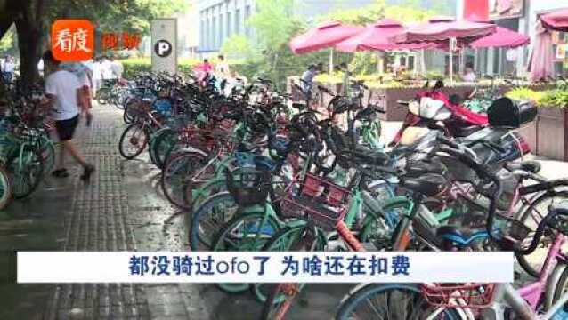 “小黄车”未骑车却每月自动扣费 客服电话已成空号