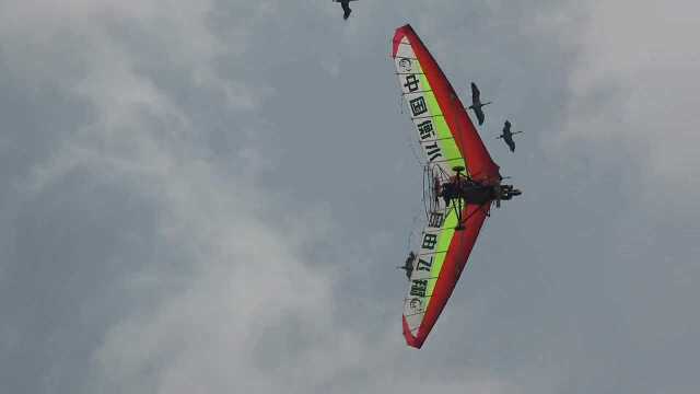 衡水航空 自由飞翔