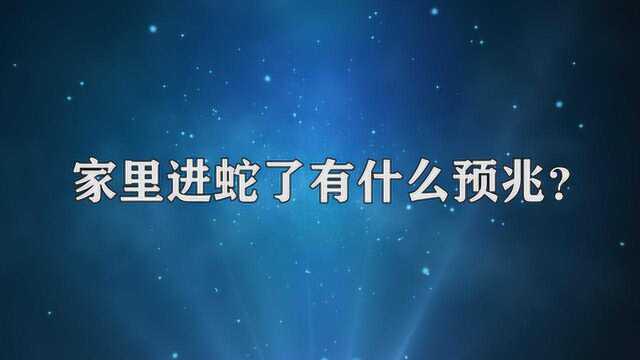 家里进蛇了有什么预兆?