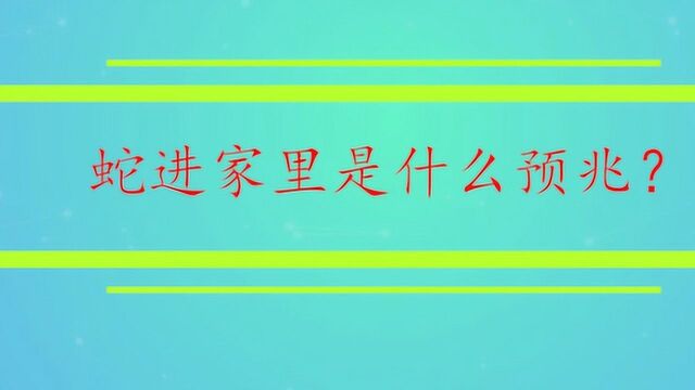 蛇进家里是什么预兆?