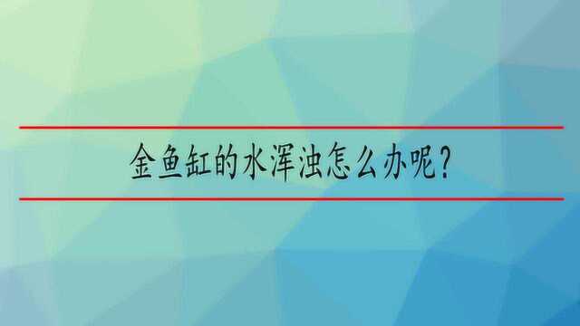 金鱼缸的水浑浊怎么办呢?