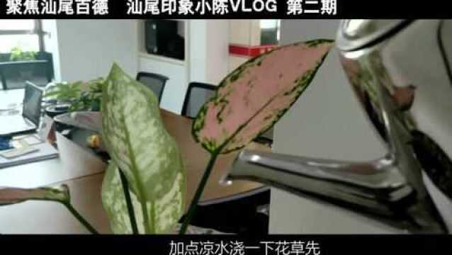 汕尾印象小陈第二期VLOG,日常工作.