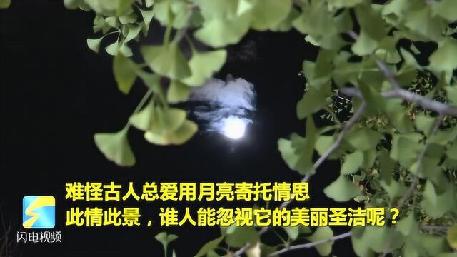 30秒看济南明月出云海绝美瞬间 雨后初霁的满月果然不同