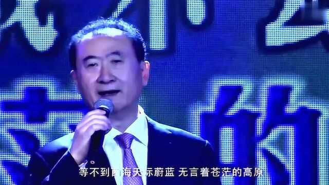 万达老总王健林演唱《西海情歌》,毫无夸张比很多歌手都好听百倍