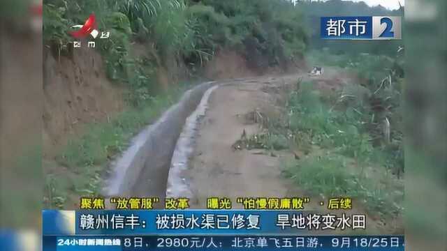 赣州信丰:被损水渠已修复 旱地将变水田