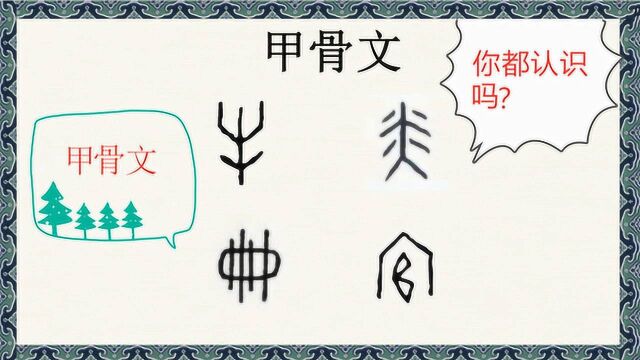 甲骨文演变:这些甲骨文变化如此之大,你都认识吗