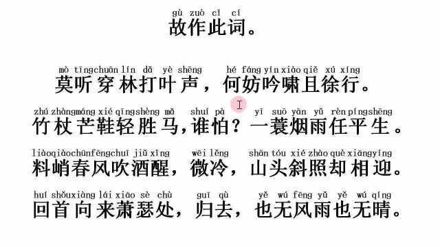 《定风波》宋:苏轼——竹杖芒鞋轻胜马,谁怕?一蓑烟雨任平生