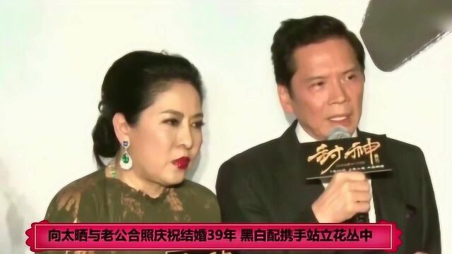 向太晒与老公合照庆祝结婚39年 黑白配携手站立花丛中