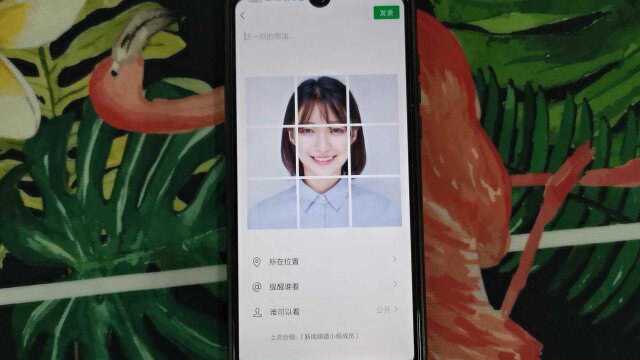 朋友圈新玩法,教你轻松制作九宫格照片,漂亮又大方
