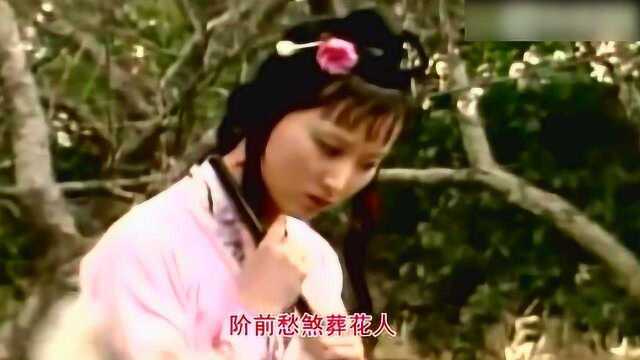 1987版 红楼梦 主题曲 葬花吟