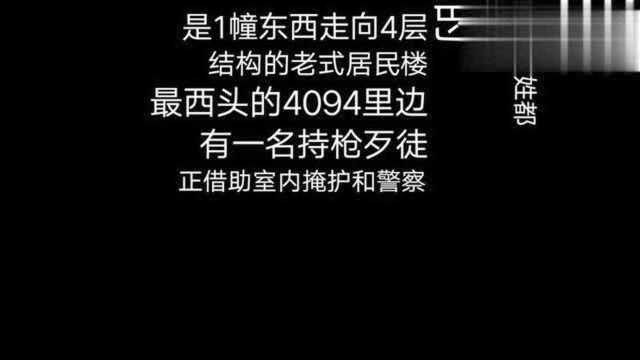 典型犯罪系列案件一