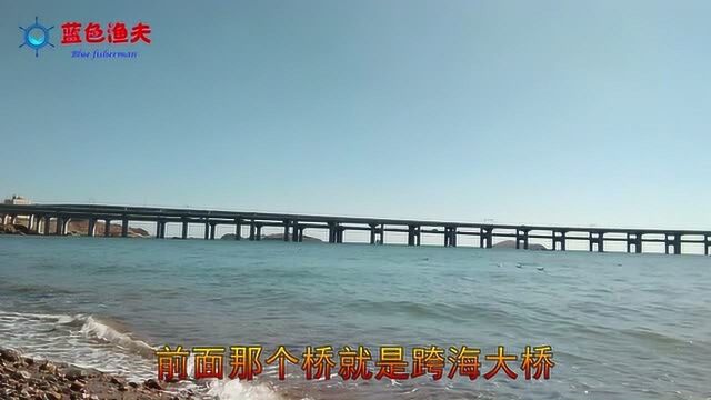 大连金沙滩 海边没捡到石头 捡了一些贝壳带回家