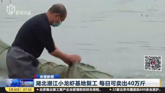 湖北:潜江小龙虾基地有序复工 每日可卖出40万斤