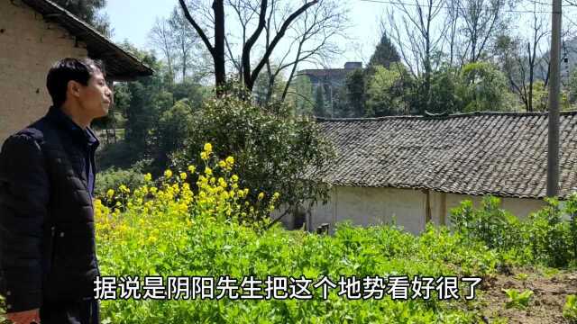 三四百年前的花屋是什么样子呢?我们一起去看看