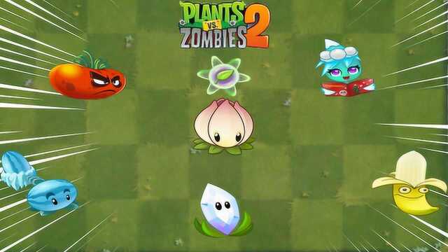 Pvz2 盘点五大高阳光消费植物