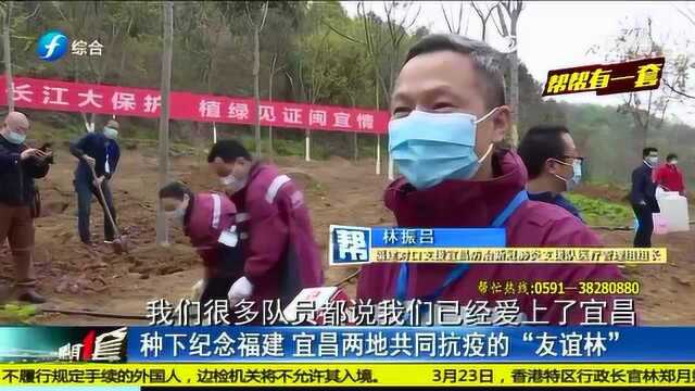 纪念福建!宜昌两地共同抗疫的“友谊林”