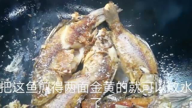 用枸杞叶和鲫鱼炖汤,食材和做法都非常简单但它功效却不一般