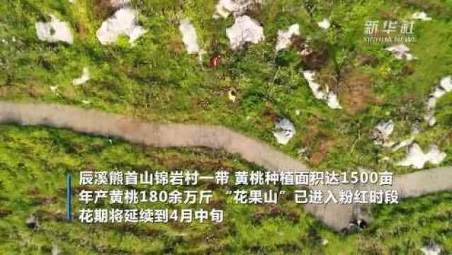 湖南辰溪:熊首山变身“花果山”