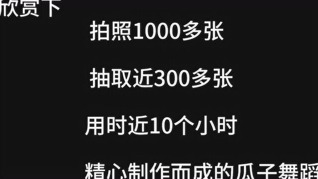 用一张张瓜子照片创作成的瓜子舞蹈